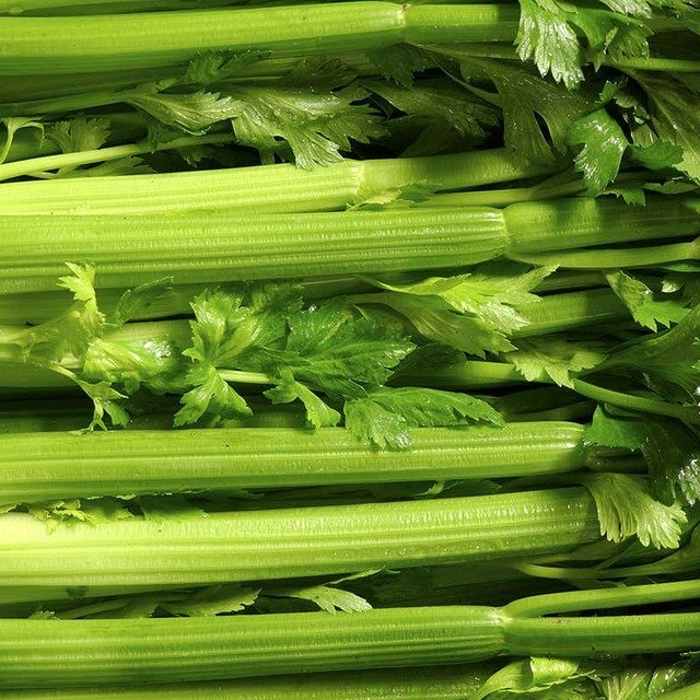 celery-large.jpg