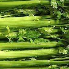 celery.jpg